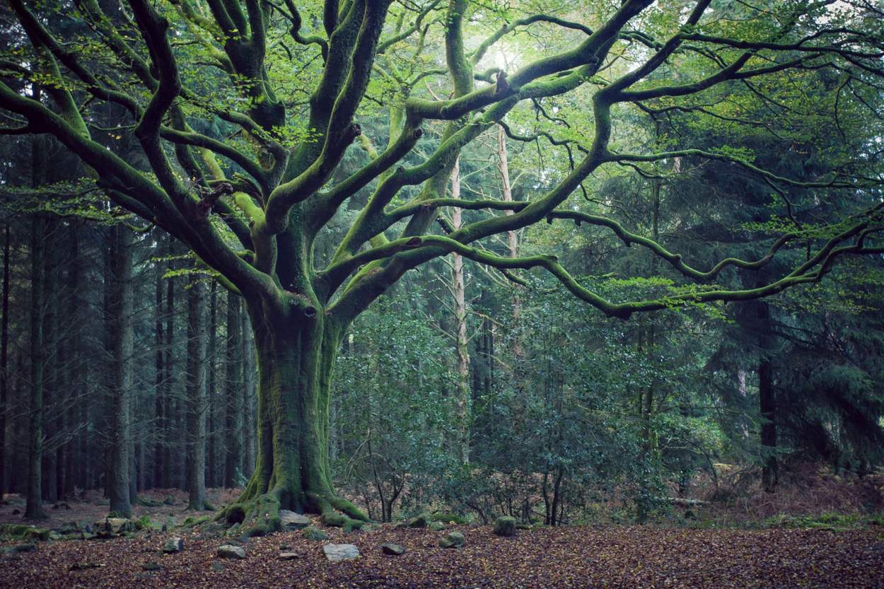 Destination Nature en Bretagne · La Gacilly · Maison Yves Rocher · Morbihan 