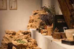 Musée immersif dans le Morbihan en Bretagne · Maison Yves Rocher