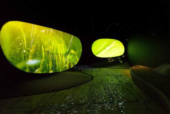 Immersive museum in Morbihan in Brittany · Maison Yves Rocher
