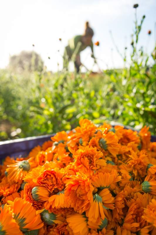 Institut Yves Rocher · Insitut de beauté et boutique La Gacilly · Morbihan