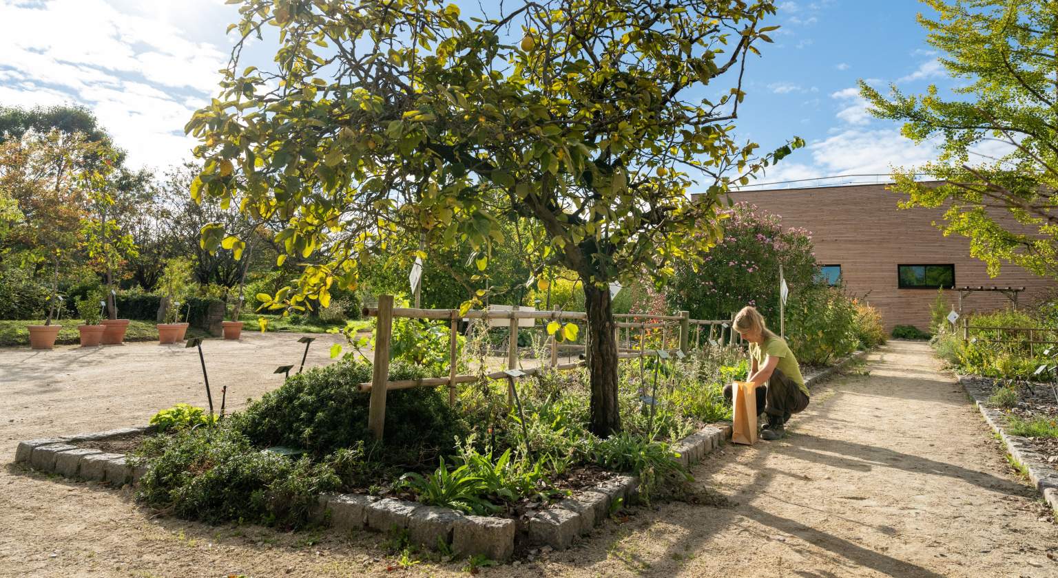 Jardin Botanique Yves Rocher