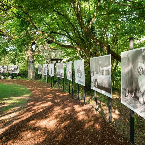 Le Festival photo, La Gacilly