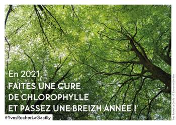 En 2021, faites une cure de chlorophylle