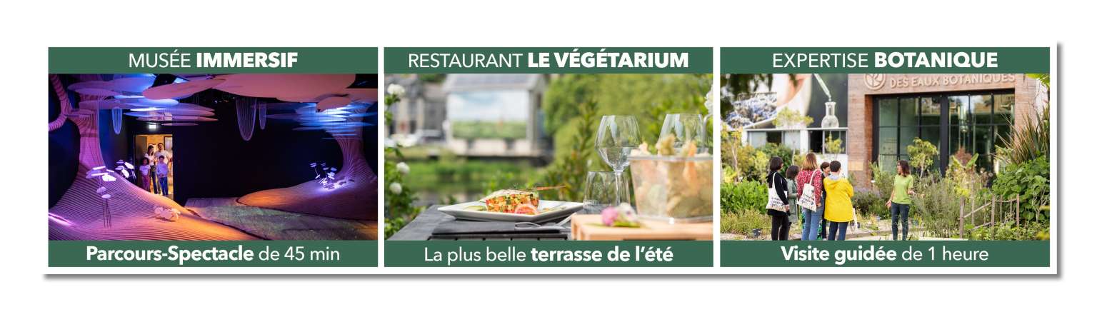 Mosaique animations estivales 2025 - Destination Yves Rocher La Gacilly