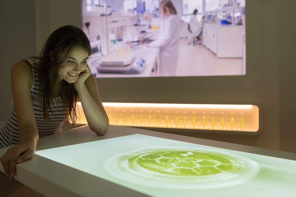 Musée immersif dans le Morbihan en Bretagne · Maison Yves Rocher, expérience